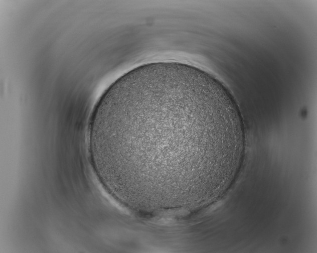 X0000112821517200908281519