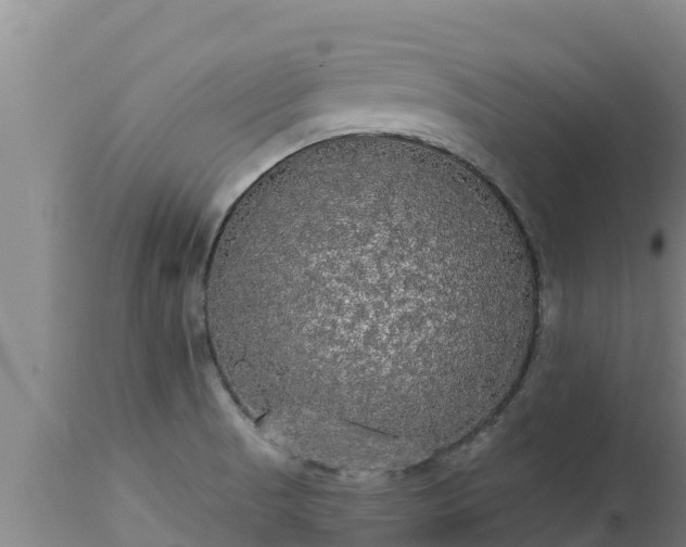 X0000112821521200908281519