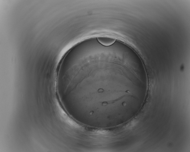 X0000112821522200908281519