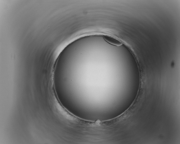 X0000112821524200908281519