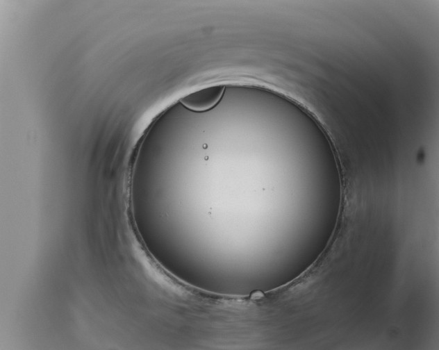 X0000112821526200908281519