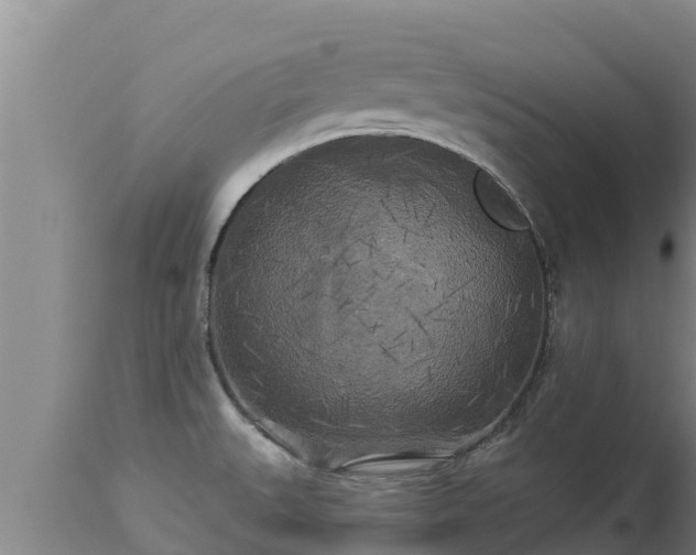 X0000112821527200908281519