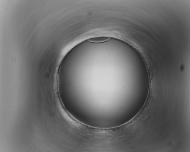 X0000112821528200908281519