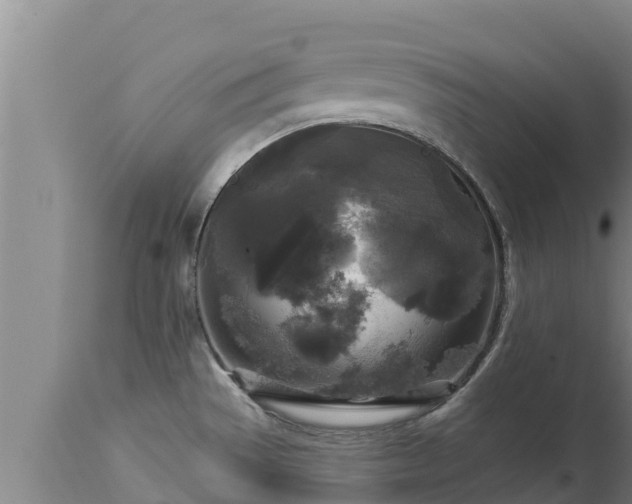 X0000112821529200908281519