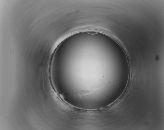 X0000112821530200908281519