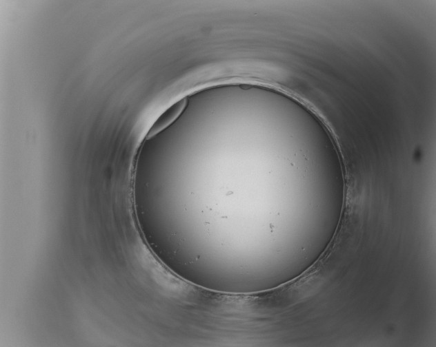 X0000112821532200908281519
