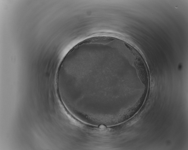 X0000112821533200908281519