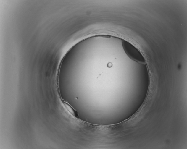 X0000112821536200908281519