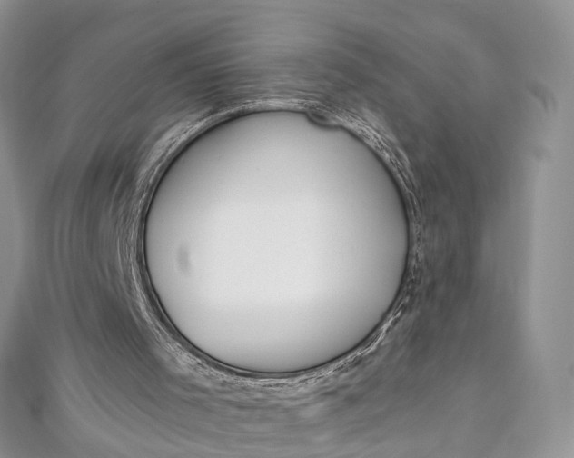 X0000112820001200909041524