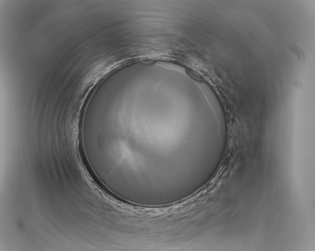 X0000112820002200909041524