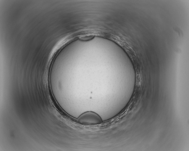 X0000112820004200909041524