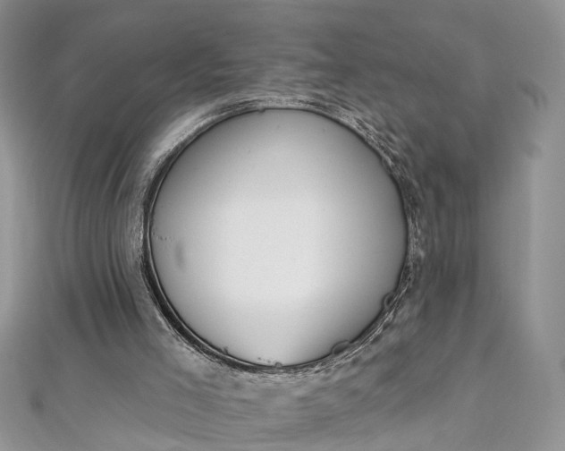 X0000112820005200909041524