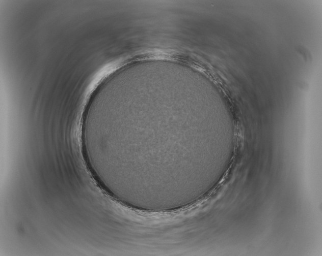 X0000112820006200909041524