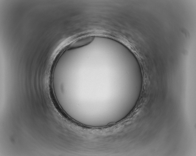 X0000112820007200909041524