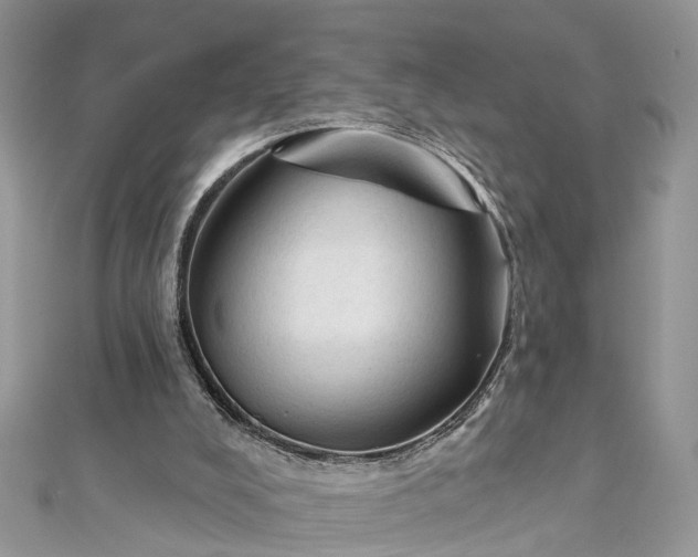 X0000112820008200909041524