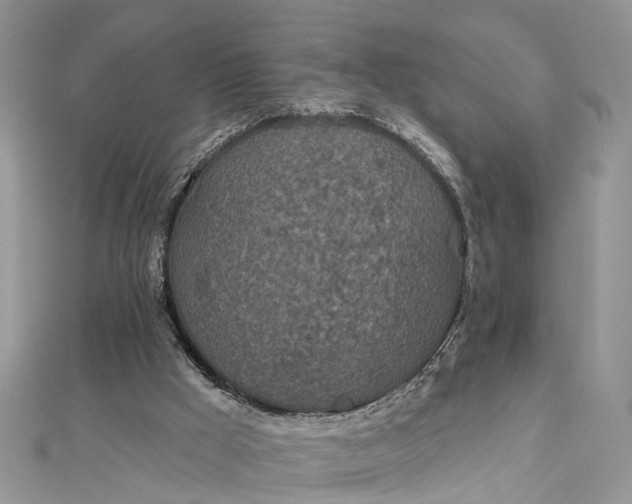 X0000112820009200909041524