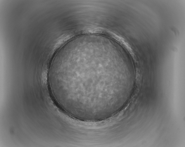 X0000112820010200909041524