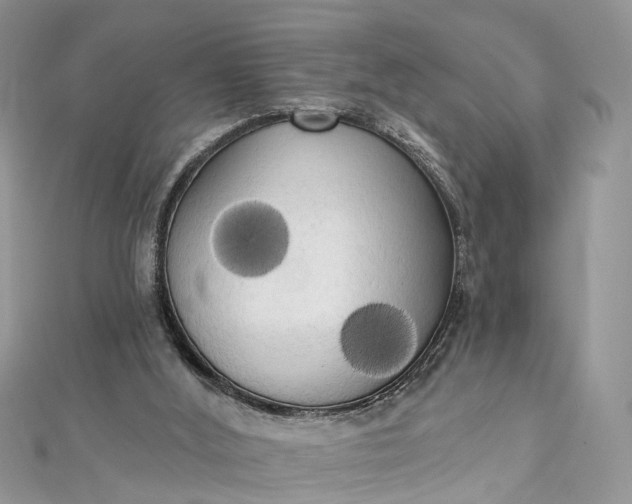 X0000112820012200909041524