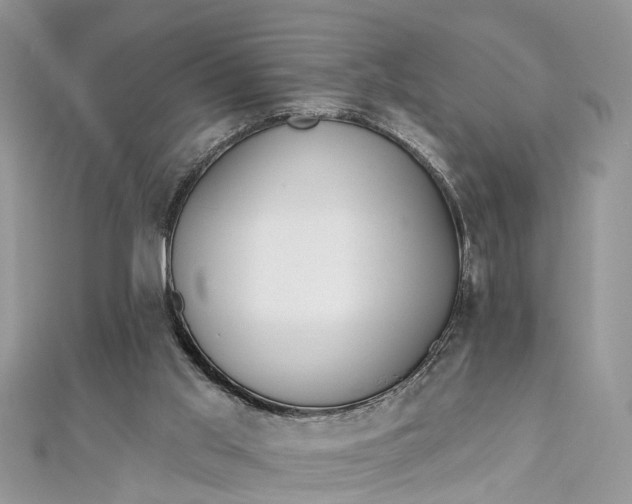 X0000112820013200909041524