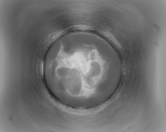 X0000112820014200909041524