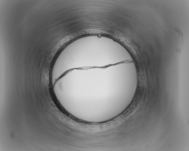 X0000112820015200909041524