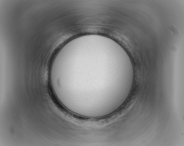 X0000112820016200909041524