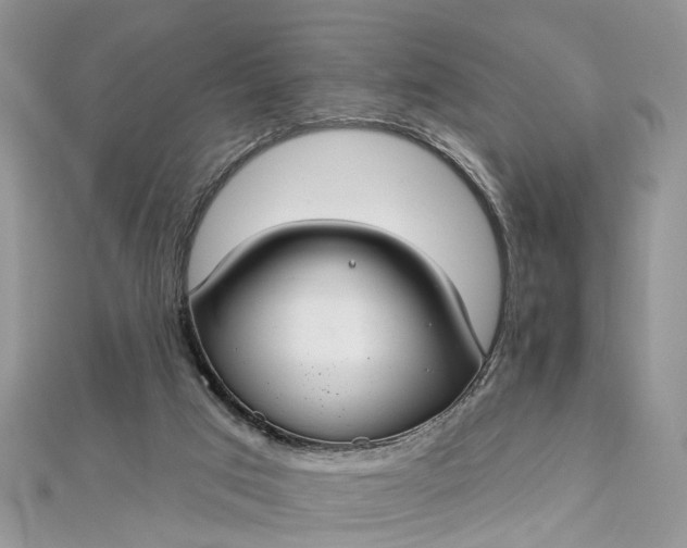 X0000112820017200909041524