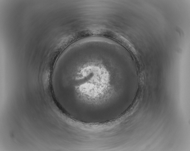 X0000112820018200909041524