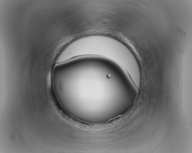 X0000112820019200909041524