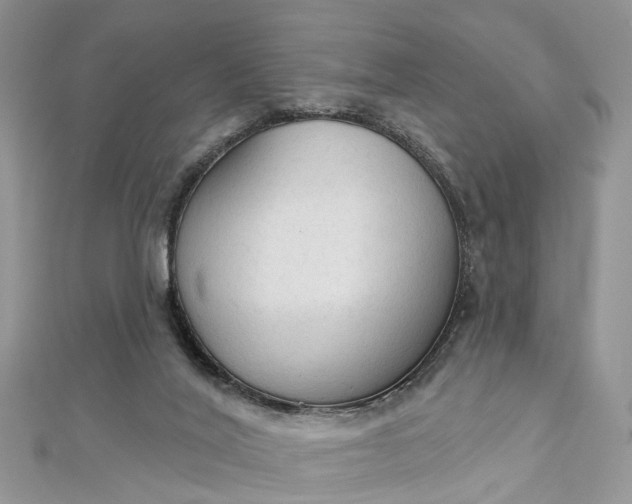 X0000112820020200909041524