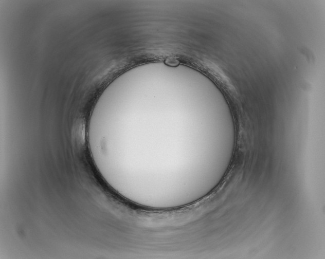 X0000112820021200909041524