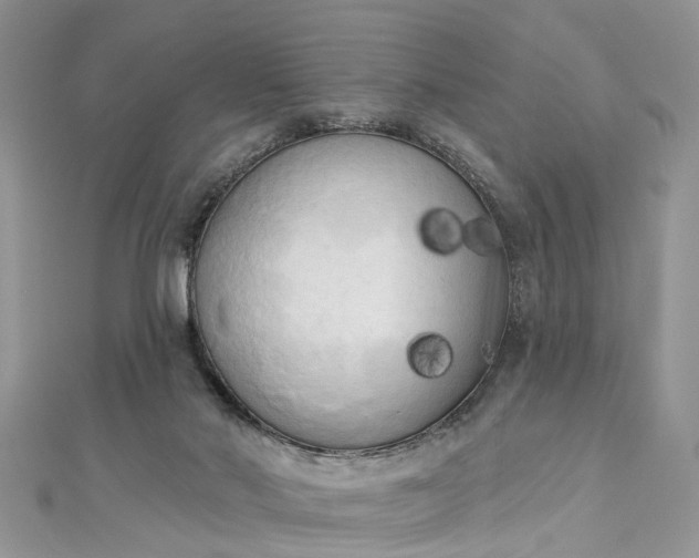 X0000112820022200909041524