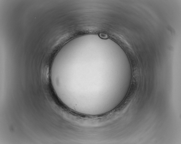 X0000112820024200909041524