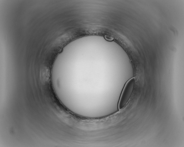 X0000112820025200909041524