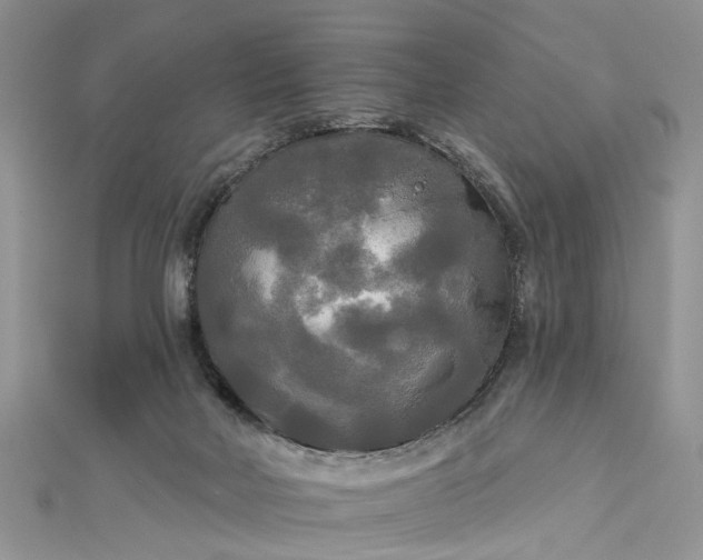 X0000112820026200909041524