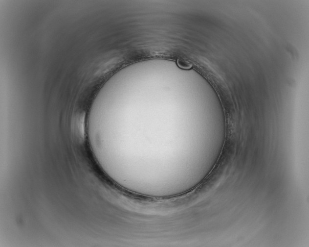 X0000112820028200909041524