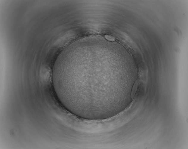 X0000112820029200909041524