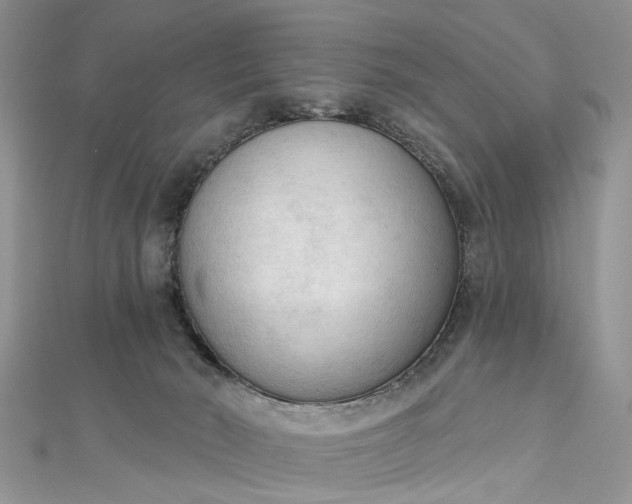 X0000112820030200909041524