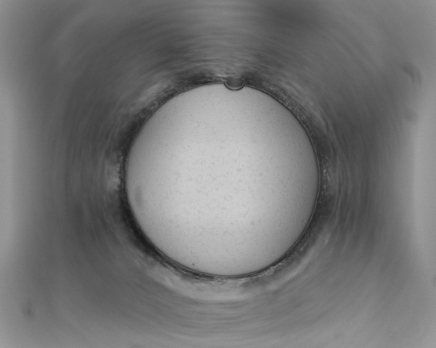 X0000112820032200909041524