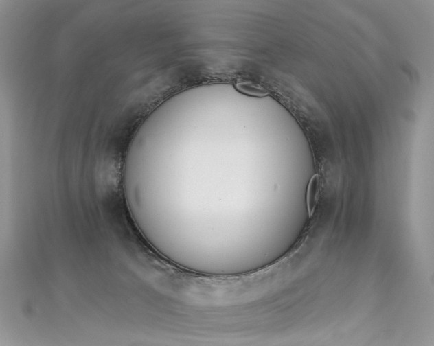 X0000112820033200909041524