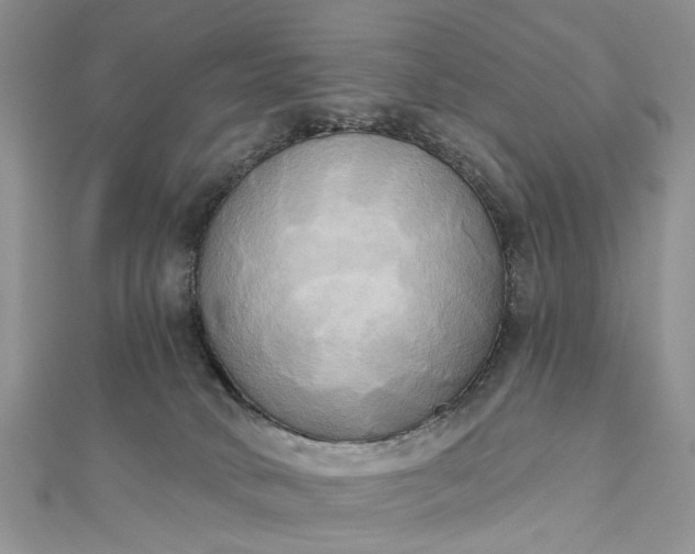 X0000112820034200909041524