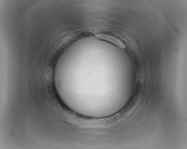 X0000112820036200909041523