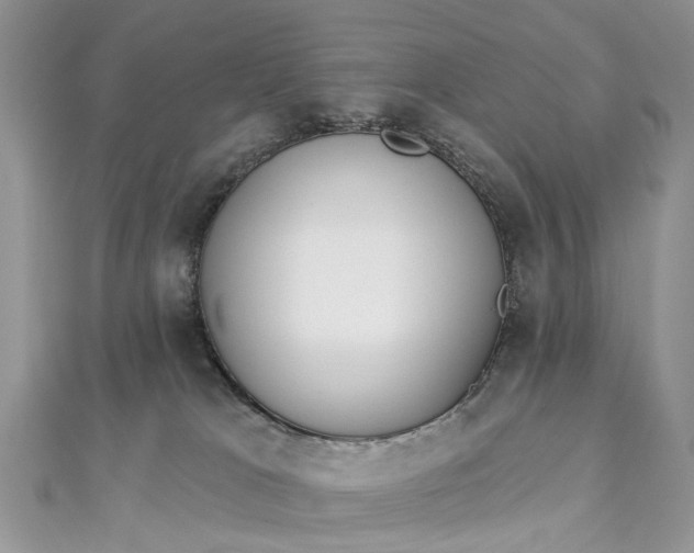 X0000112820037200909041523