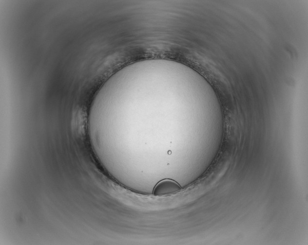 X0000112820038200909041523