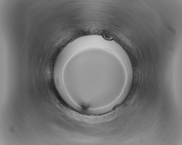 X0000112820039200909041523