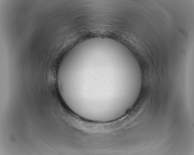 X0000112820040200909041523