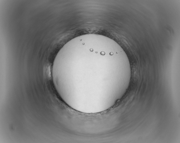 X0000112820042200909041523