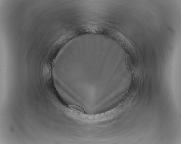 X0000112820043200909041523