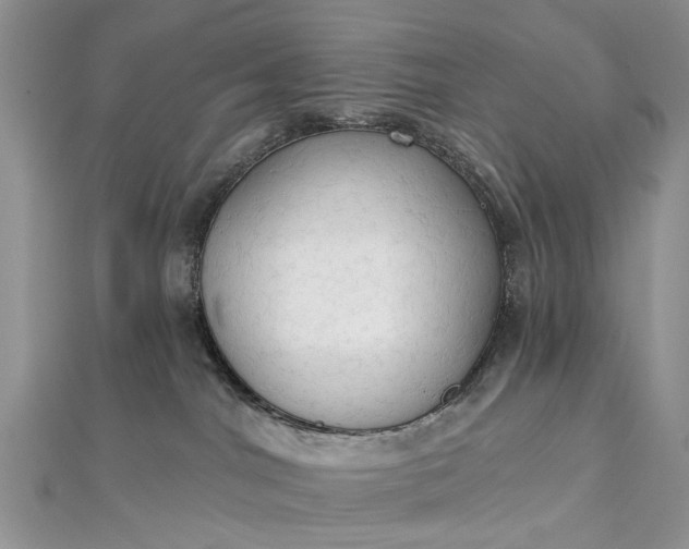 X0000112820044200909041523