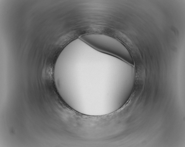 X0000112820045200909041523